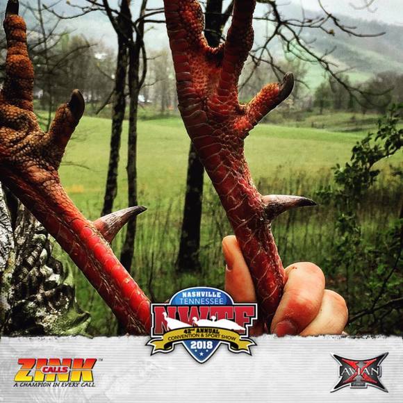 Meet your Posher, Seth - Picture 1 of 1